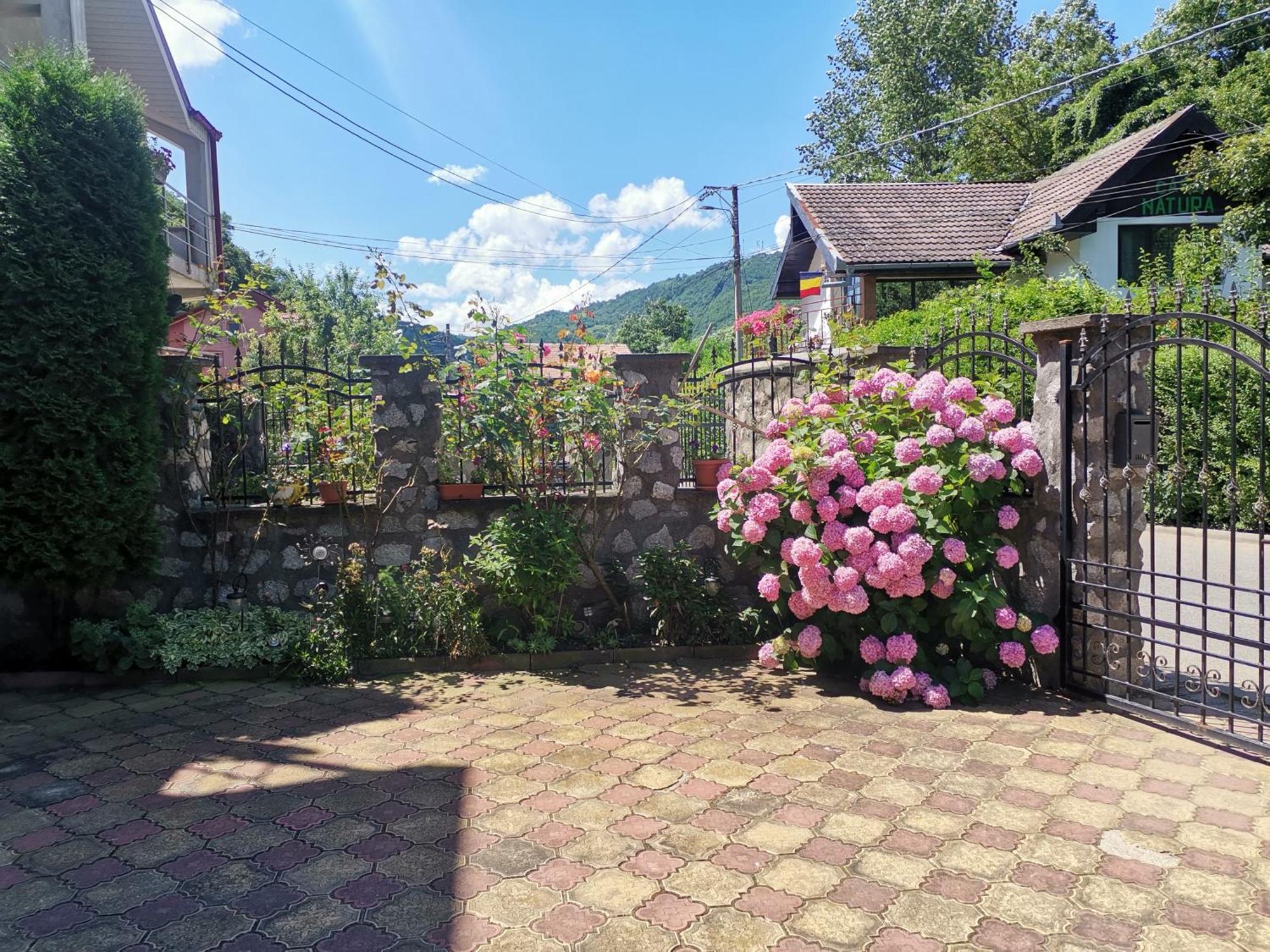 Vila Ana Беїле-Херкулане Екстер'єр фото